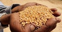 World food prices at more than two-year high, FAO says