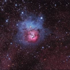 A Beautiful Trifid