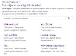 Google SEO'da menü nasıl eklenir?