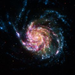  21st Century M101 