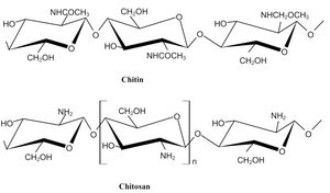 Enhancing Lime Tree Growth With Chitosan And Hydrogen Peroxide