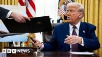 Trump tariffs: What happens next after court rules them illegal?