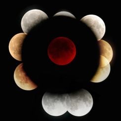 Lunar Eclipses