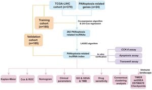 New PANoptosis-Related LncRNAs Model Improves Gastric Cancer Prognosis