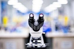 Bilim İnsanları "Yaşamın Sınırlarını Zorlayan" Yeni Bir Mikroskobik Canlı Keşfetti.