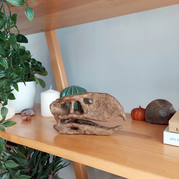 Titanis(Terror Bird) Mini Seramik Heykel