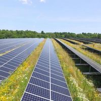 Dia da Terra: 3 fatos que mostram o progresso da energia renovável no mundo
