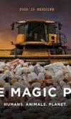 The Magic Pill