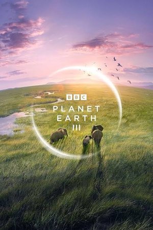 Planet Earth III (Dünya Gezegeni 3) - 2023 (Belgesel)