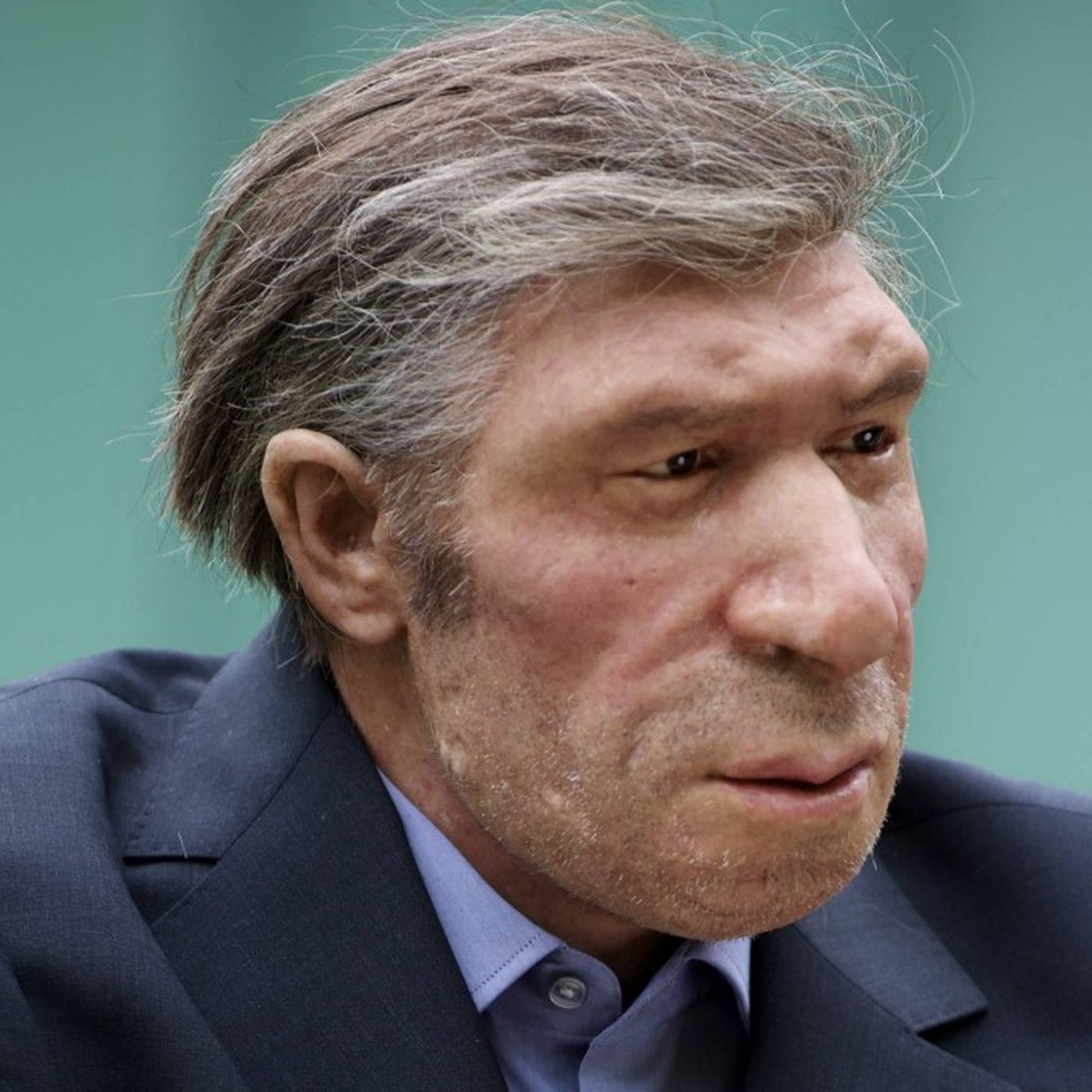 Neandertal Nedir? Kimdir? Neandertaller Hakkında Temel Bilgiler ve Gerçekler...