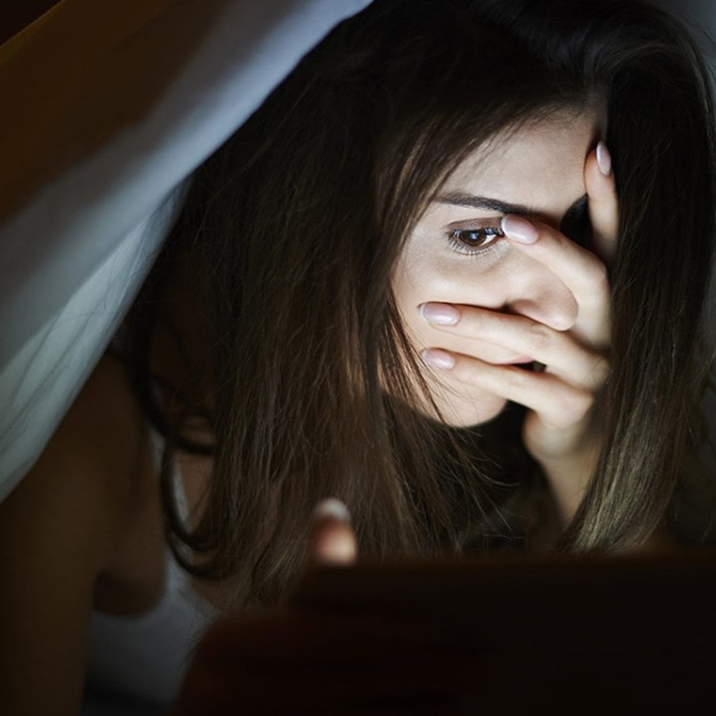 Evrim Ağacı ile Bilime Dair Her Şey!