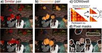 Individual gaze predicts individual scene descriptions - Scientific Reports