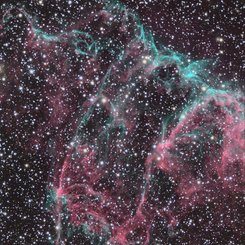 IC1340 in the Eastern Veil