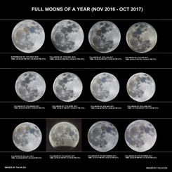  A Year of Full Moons 