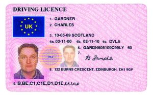 New Driving Licence Regulations Affect HGV Drivers Across The UK