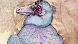 Dinozorların Renkleri Nasıl Belirleniyor?