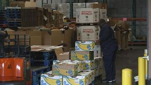 States Face Budget Crisis After SNAP Cuts