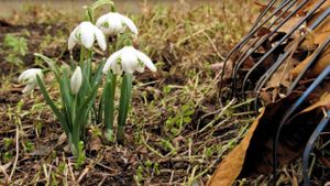 Podolsk Residents Join Forces For Spring Cleanup Initiative