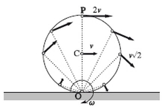 Kaymadan yuvarlanan bir cismin farklı noktalarındaki hız vektörleri