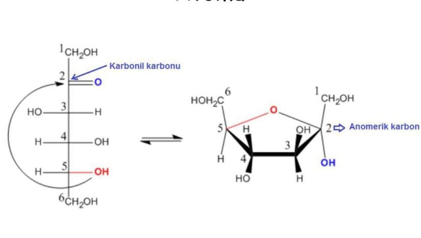 Fruktozdaki anomerik karbon atomunun gösterimi