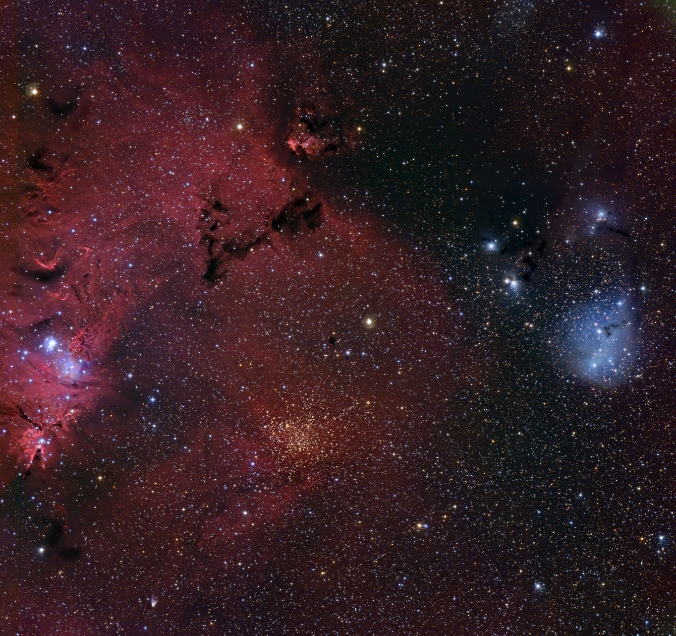 The Cone Nebula Neighborhood