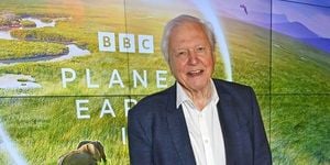 Sir David Attenborough Celebrates 99th Birthday With Tributes