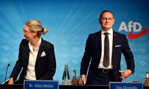 Far-Right AfD Party Gains Ground Ahead Of German Elections