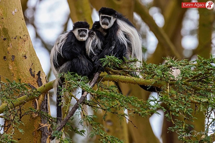 Farklı bir açıdan.