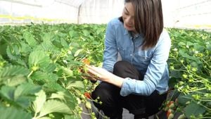 Tochigi's Strawberry Village Beckons Visitors This Spring