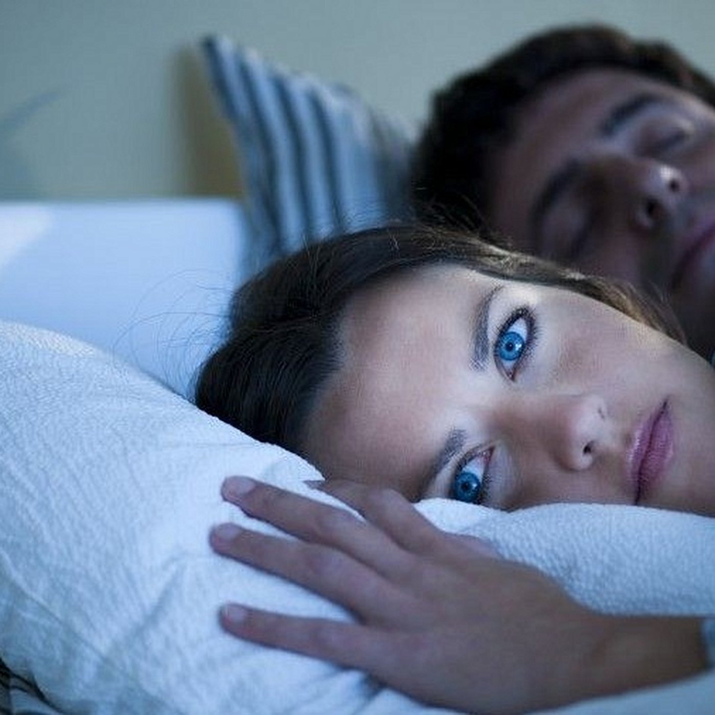 Evrim Ağacı ile Bilime Dair Her Şey!