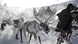 Sibirya Özelinde Coğrafya Ve İklim