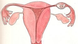 Ektopik Gebelik Nedir? Nasıl Tespit Edilir, Nasıl Tedavi Edilir?