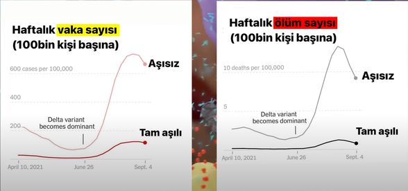 ABD'de aşı olmayanlar arası COVID-19'a yakalanma riski 6.1 kat, ölüm riski 11.3 kat daha yüksektir.