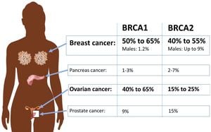 SERM Efficacy For Breast Cancer Risk Reduction Among BRCA Carriers