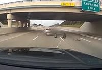 Livonia police use grappler device to stop stolen vehicle on I-96