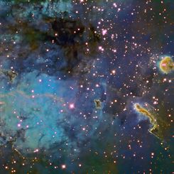 The Tadpoles of IC 410