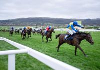 'He was his own character and a competitor' - Dan Skelton pays tribute to dual Cheltenham Festival winner Langer Dan after his death