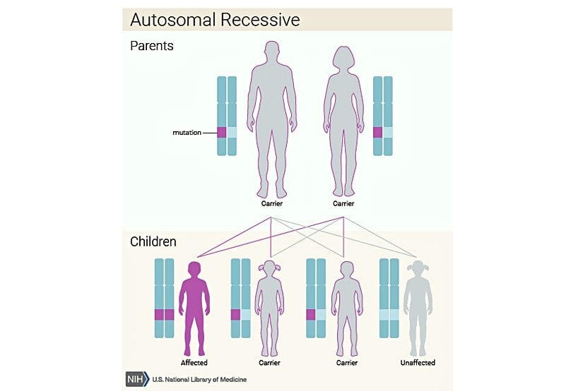 JBTS kalıtım paterni.