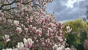 Cloudy And Rainy Weekend Ahead For Poland