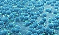 ‘Nightmare Bacteria’ Surge in US Poses ‘Grave Danger’: Ex...