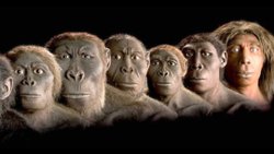 Davranışsal ve evrimsel reenkarnasyon