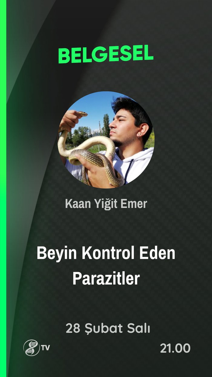 Veteriner Günlüğü: Beyin Kontrol Eden Parazitler