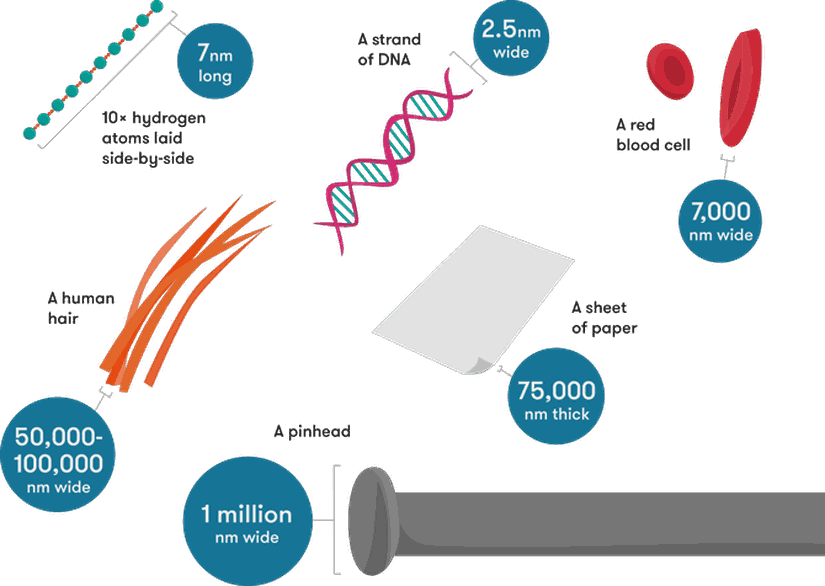 Nanometre ölçeğindeki nesneler - Görsel: https://www.science.org.au/curious/technology-future/how-small-nanoscale-small [2].