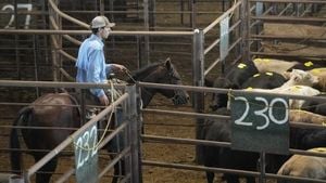Trump’s Argentina Beef Import Plan Sparks Farm Uproar