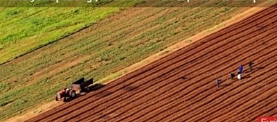 İnsan Türünün Tarihindeki En Büyük Hata: Tarım