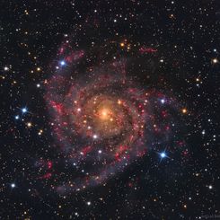  IC 342: The Hidden Galaxy