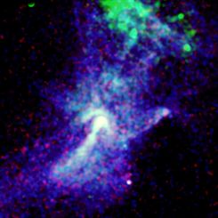 X-Rays and the Circinus Pulsar