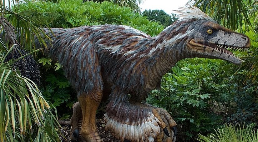 Utahraptor temsili resmi