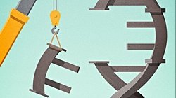 Vücudunuzda An İtibariyle 100 Civarında Bozuk Gen Var!