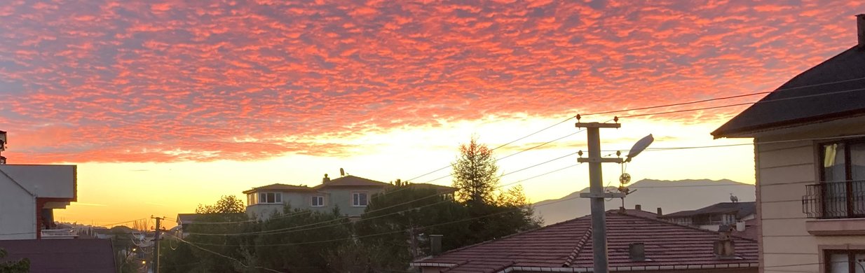 Kapak Görseli